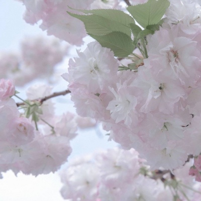 兽设场景氛围营造教程FurryQQ群